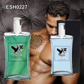 Dupe de parfum ESH0227 homme - Parfums équivalents, parfums génériques et dupes de parfums en flacon de 100 ml ou 50 ml.